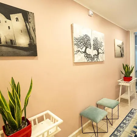 Savoia - Selection - 바리